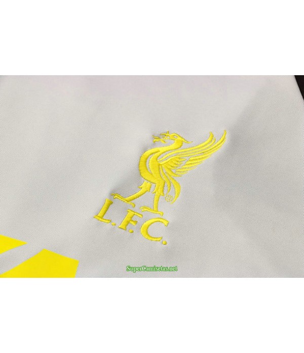 Tailandia Camiseta Kit De Entrenamiento Liverpool Gris Claro/negro 2021