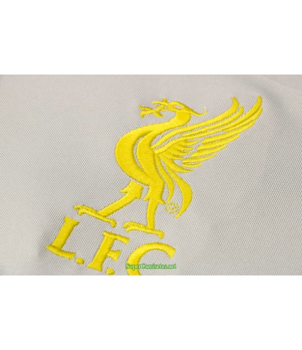 Tailandia Camiseta Kit De Entrenamiento Liverpool Polo Gris Claro 2021