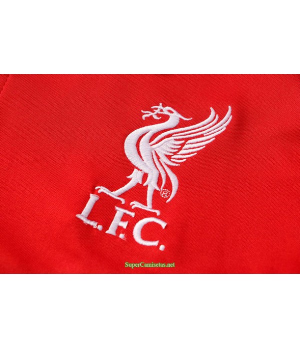 Tailandia Camiseta Kit De Entrenamiento Liverpool Polo Rojo/negro 2021
