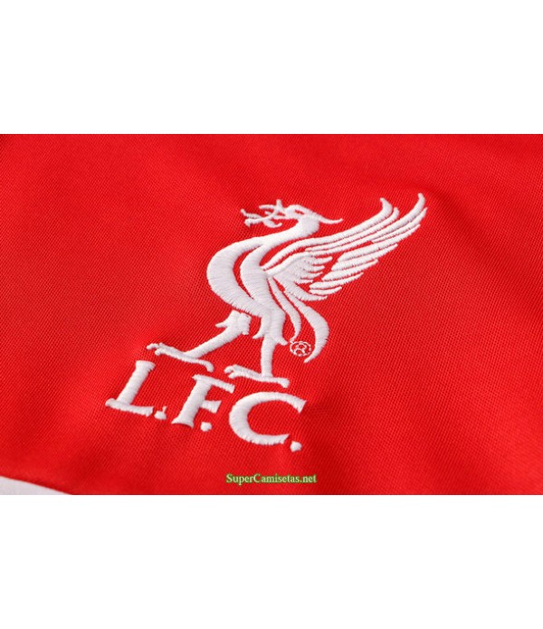 Tailandia Camiseta Kit De Entrenamiento Liverpool Rojo 2021