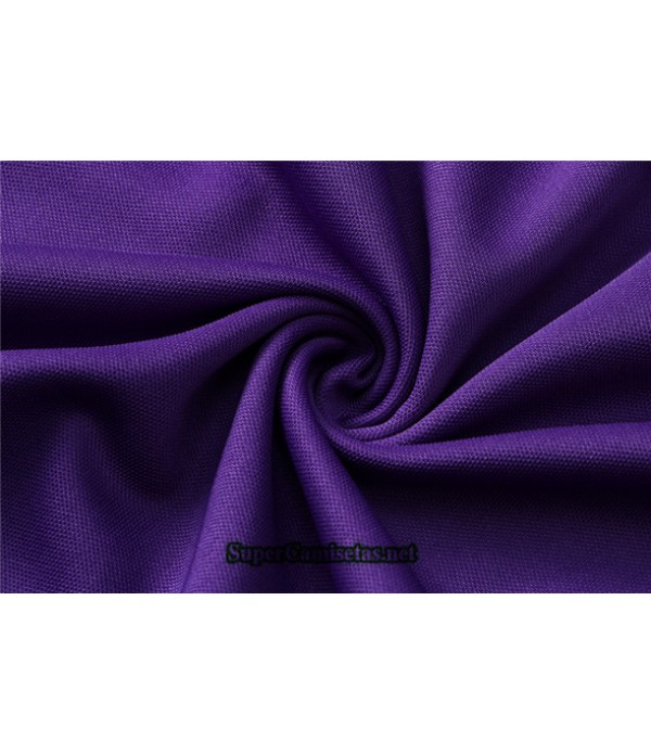 Tailandia Camiseta Kit De Entrenamiento Jordan Psg Púrpura Paris 2021